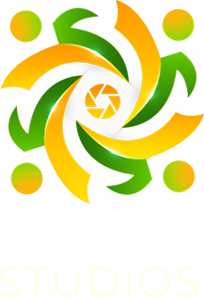 nathanstudios logo